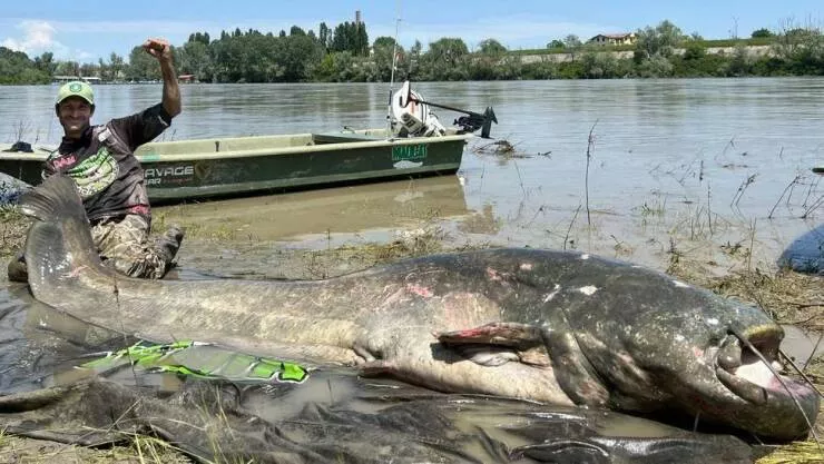Picdump 827 - #38 
