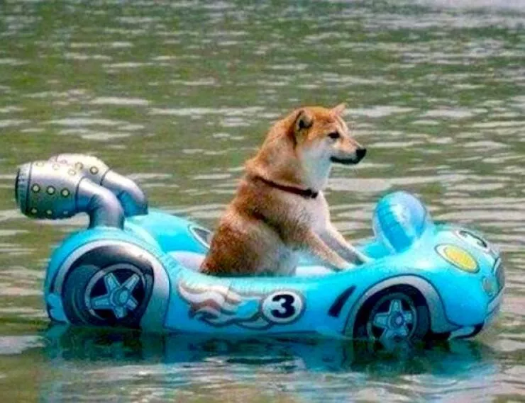 Picdump 827 - #57 