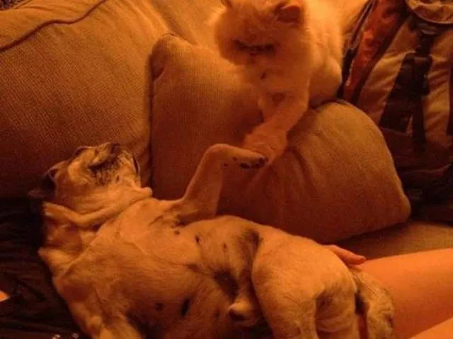 Picdump 108 - #14 