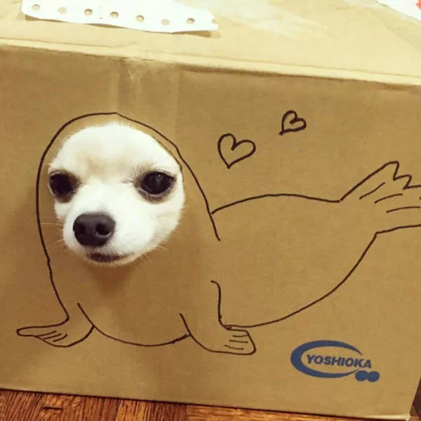 Picdump 108 - #48 