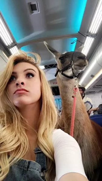 Picdump 108 - #8 