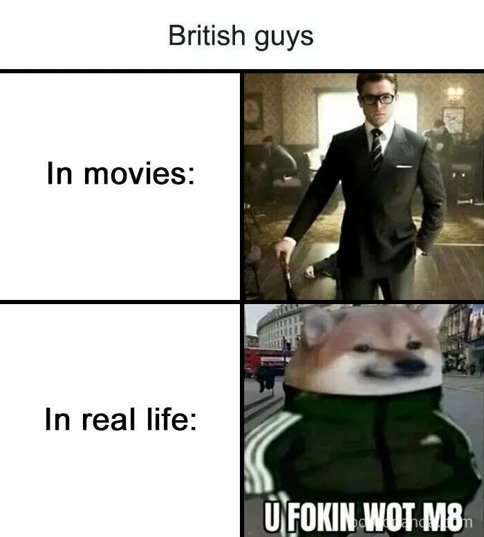 British humor unveiled memes celebrating the best of british wit - #14 