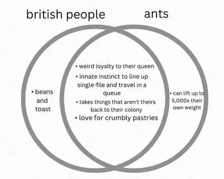 British humor unveiled memes celebrating the best of british wit - #20 