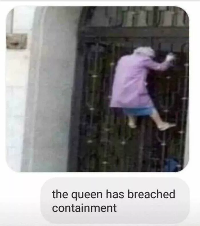 Esprit britannique eclatant memes mettant en valeur lapogee de lhumour britannique