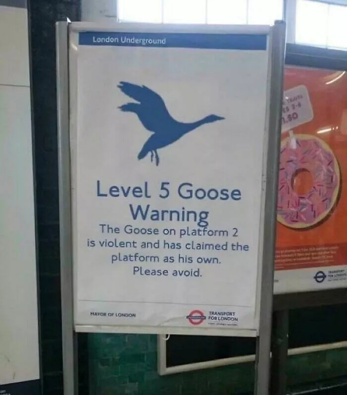 British humor unveiled memes celebrating the best of british wit - #33 