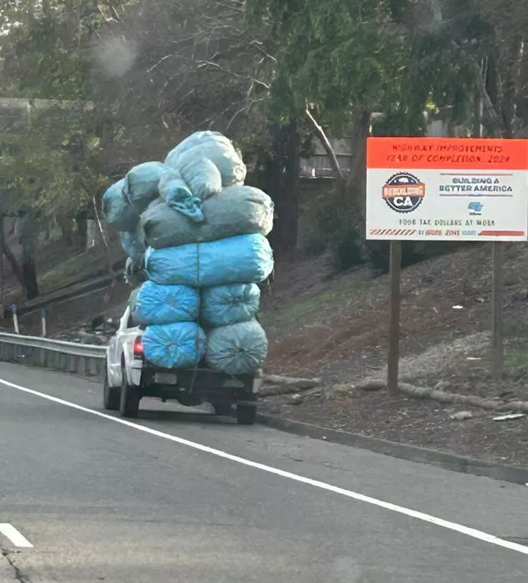Picdump 828 - #43 