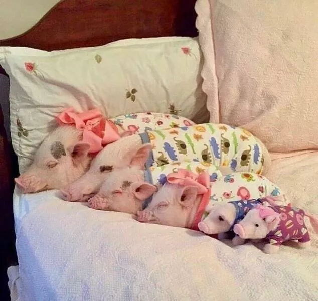 Picdump 830 - #10 
