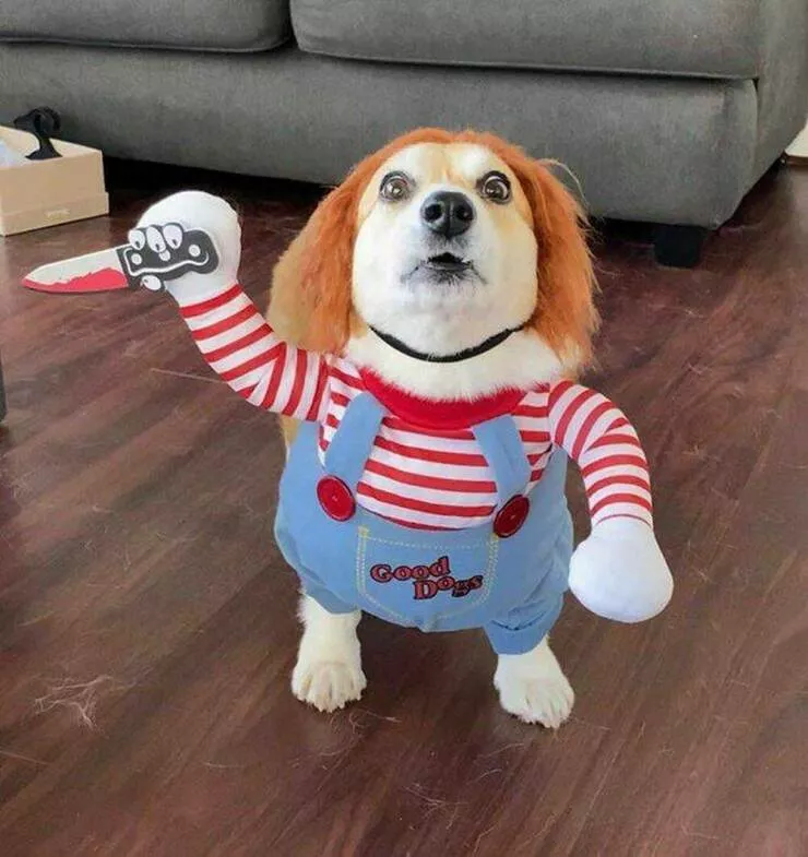 Picdump 830 - #14 