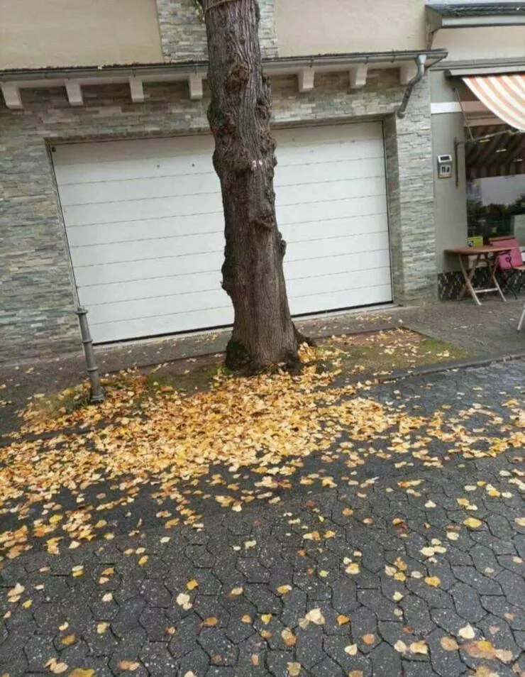 Picdump 830 - #18 