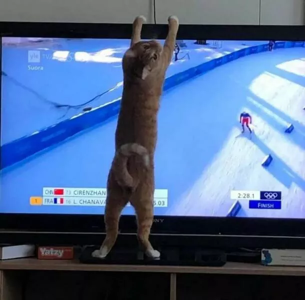 Picdump 830 - #39 