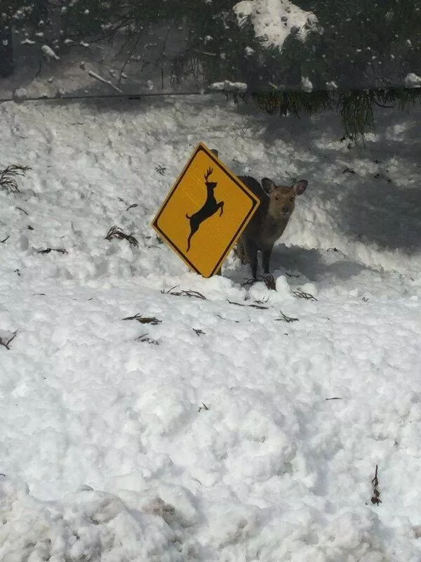 Picdump 830 - #6 