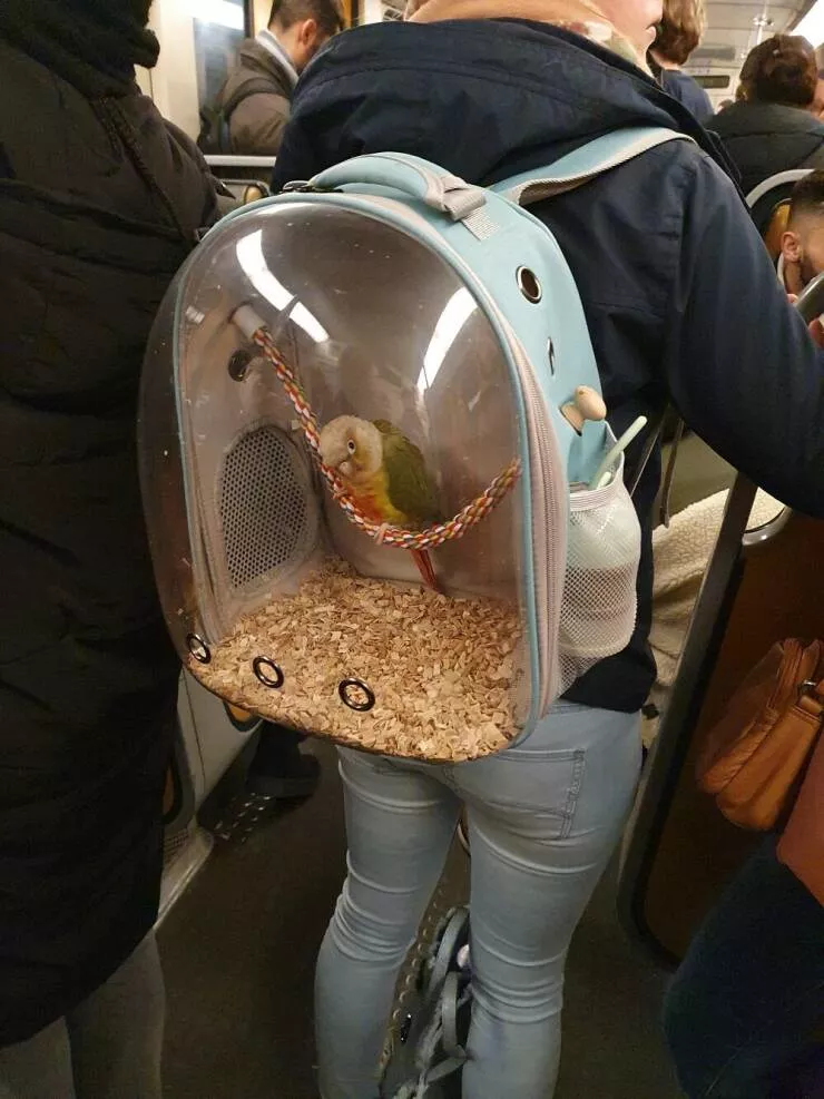 Picdump 831 - #39 