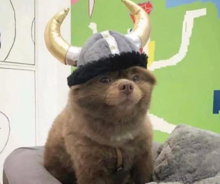 Picdump 832 - #15 