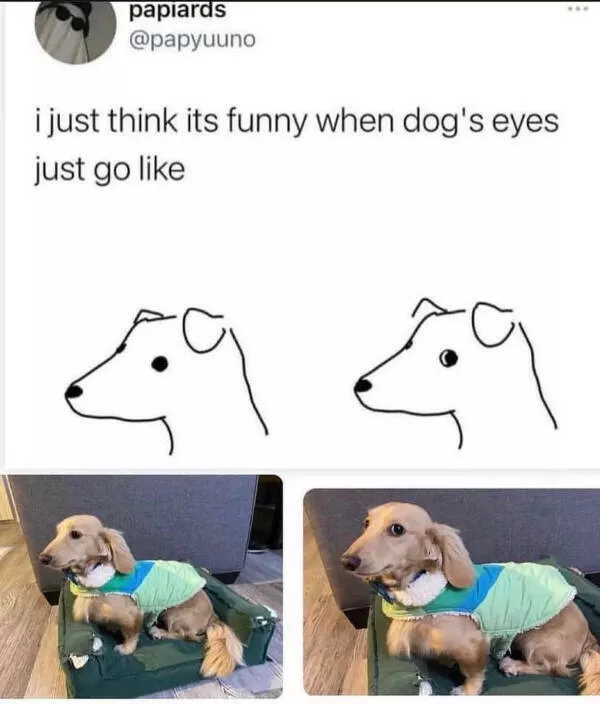 Feel good laughter heartwarming memes to brighten your day - #10 