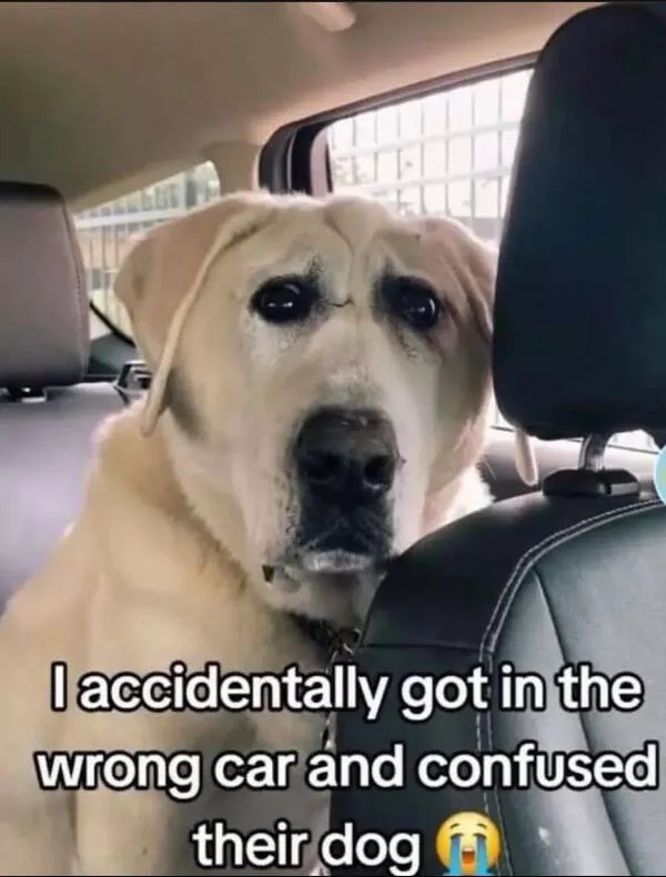 Feel good laughter heartwarming memes to brighten your day - #11 