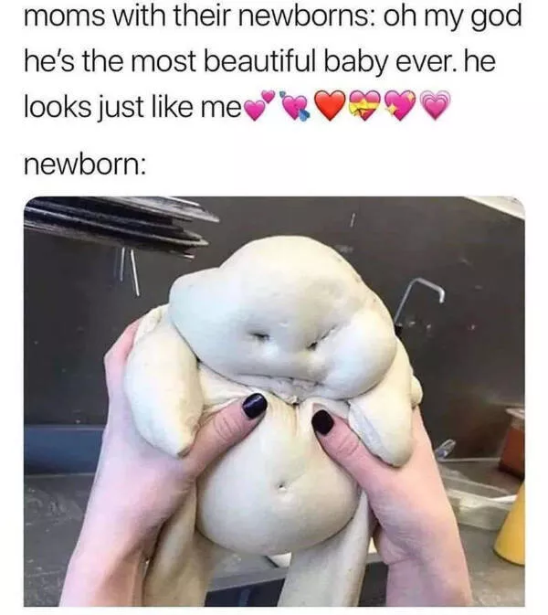 Feel good laughter heartwarming memes to brighten your day