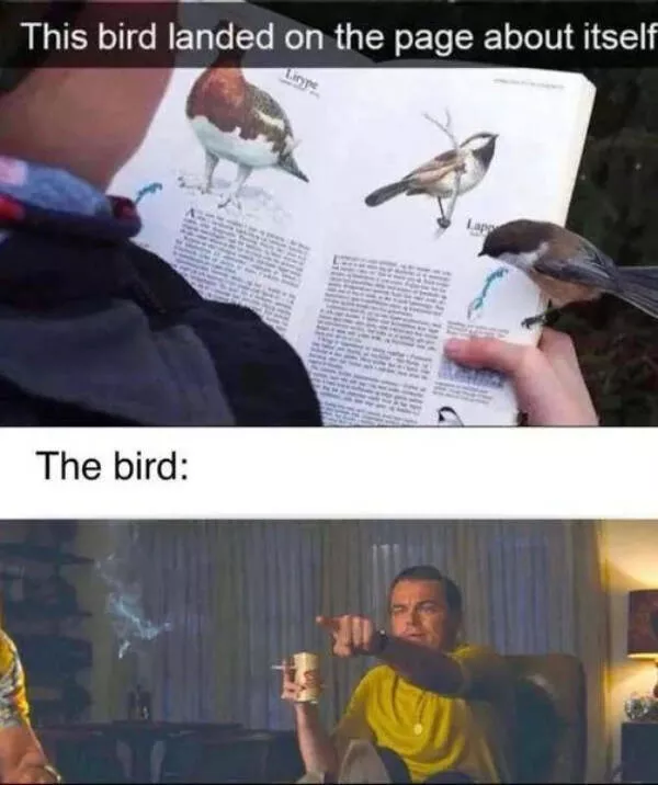 Feel good laughter heartwarming memes to brighten your day - #4 