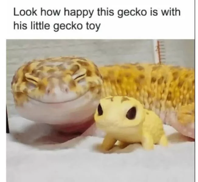 Feel good laughter heartwarming memes to brighten your day - #7 