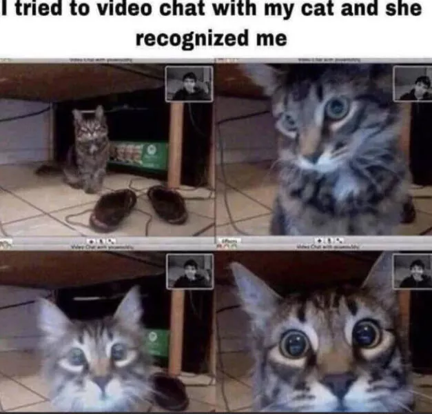 Feel good laughter heartwarming memes to brighten your day - #8 