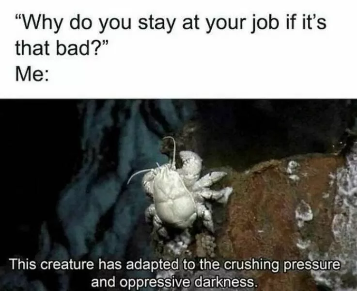 Soulful laughter therapeutic memes to lift your mood - #19 