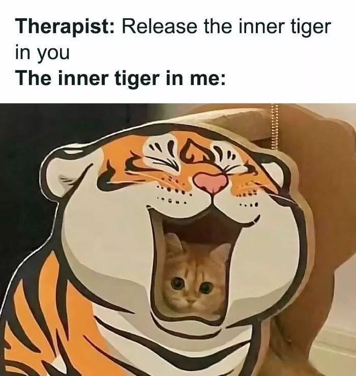 Soulful laughter therapeutic memes to lift your mood - #39 
