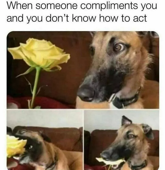 Soulful laughter therapeutic memes to lift your mood - #9 