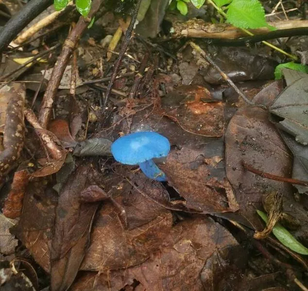Unusual perspectives unveiled rare images that surprise and delight - #21 Finding glacier water so clear it s barely visible