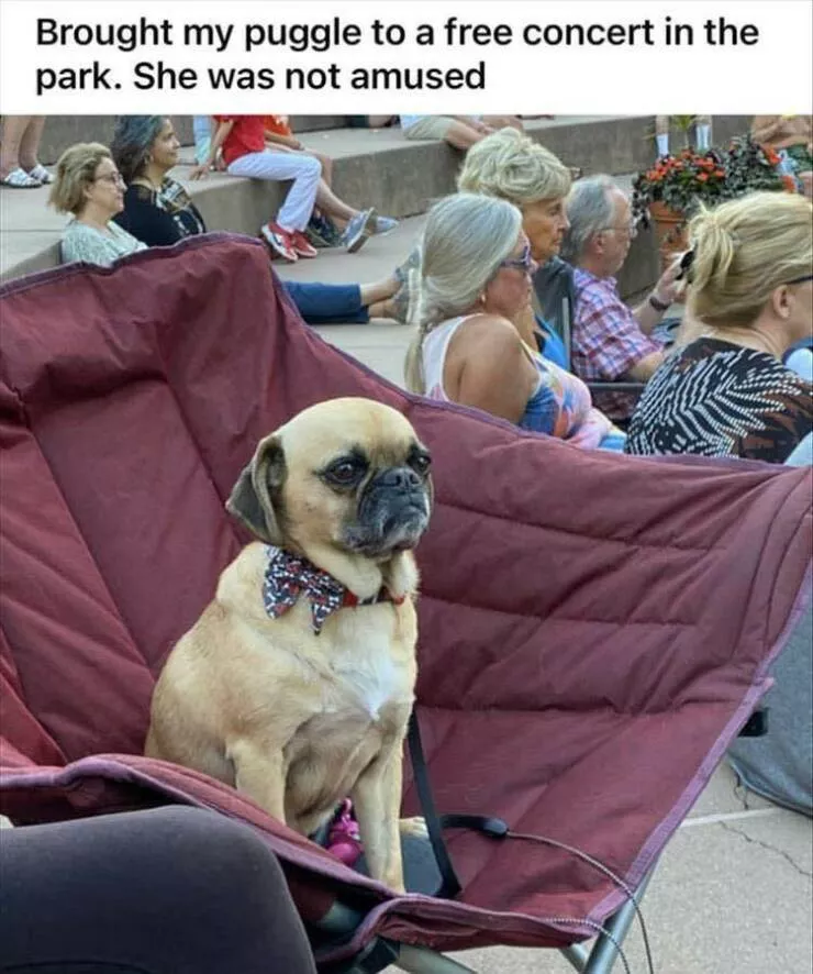 Picdump 833 - #46 
