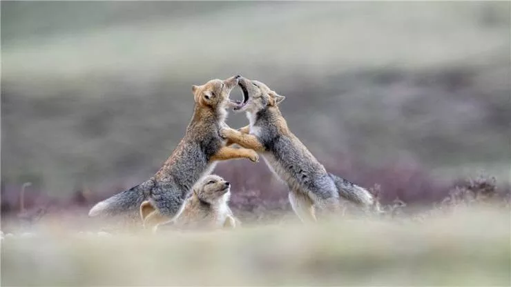 Picdump 834 - #7 