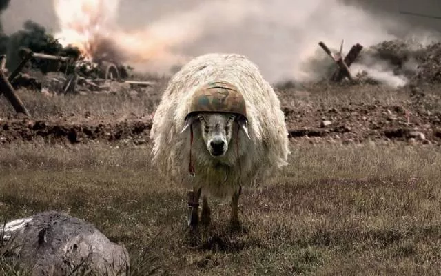 Humour de militaire - #2 