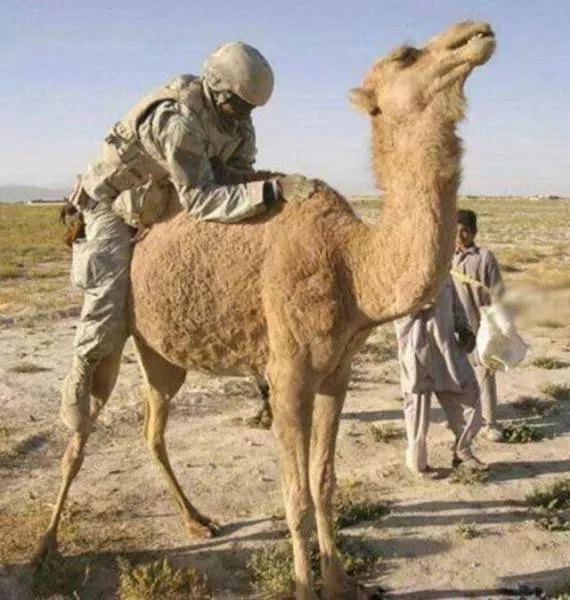 Humour de militaire - #20 
