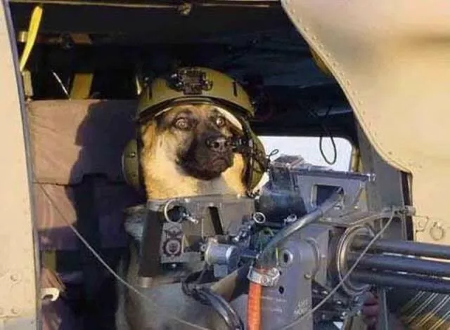 Humour de militaire - #7 