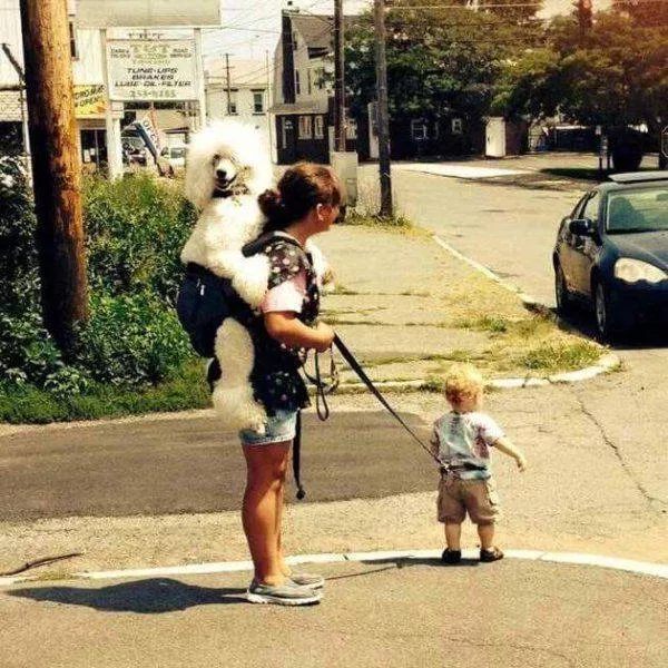 Picdump 109 - #65  Picdump 109 - #65