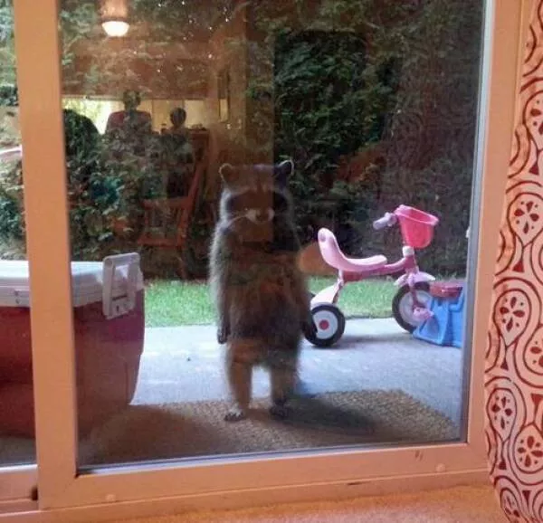 Picdump 835 - #13 