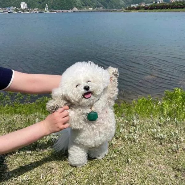 Picdump 837 - #25 
