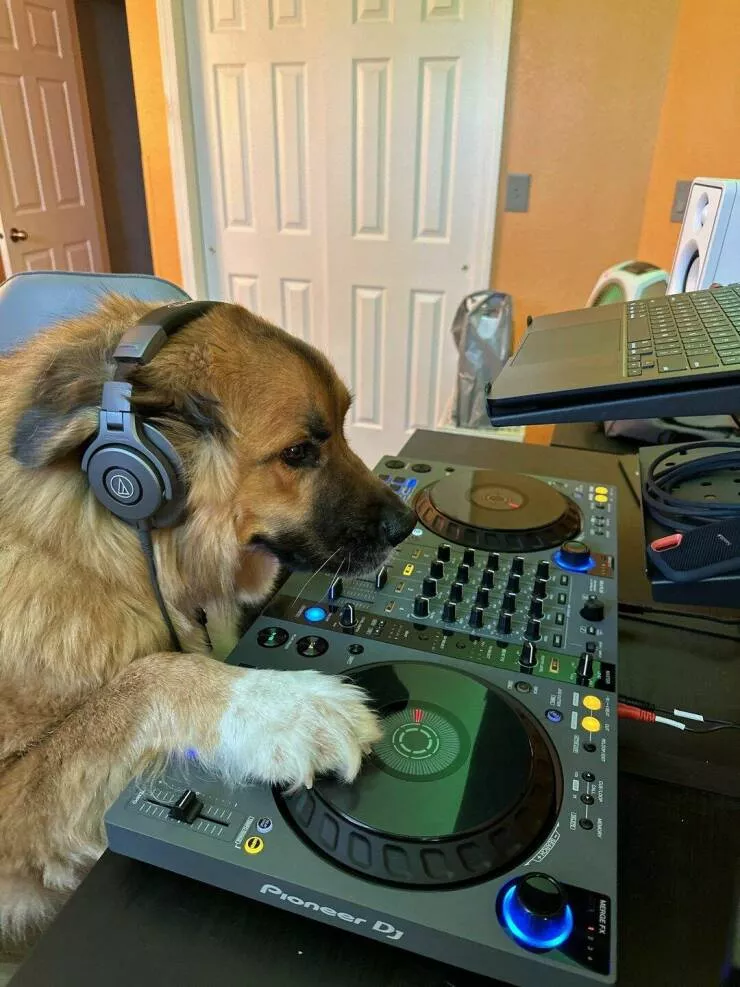 Picdump 837 - #8 