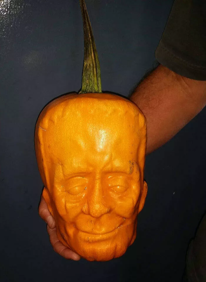 Intriguing discoveries subtly surprising finds that captivate - #10 The intriguing effect of growing a pumpkin inside a plastic mold
