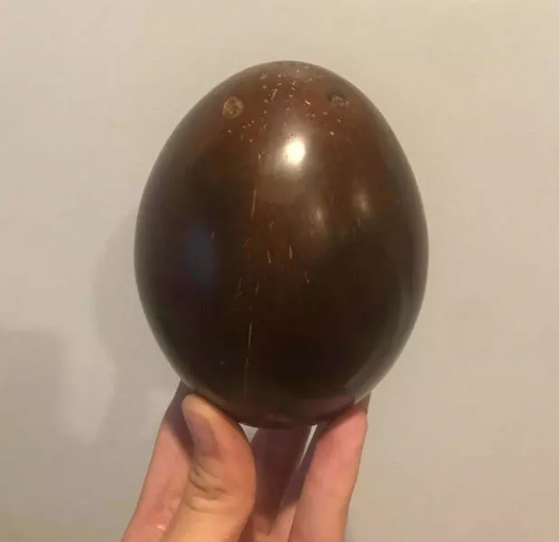 Intriguing discoveries subtly surprising finds that captivate - #14 Witness the transformation of a coconut after polishing