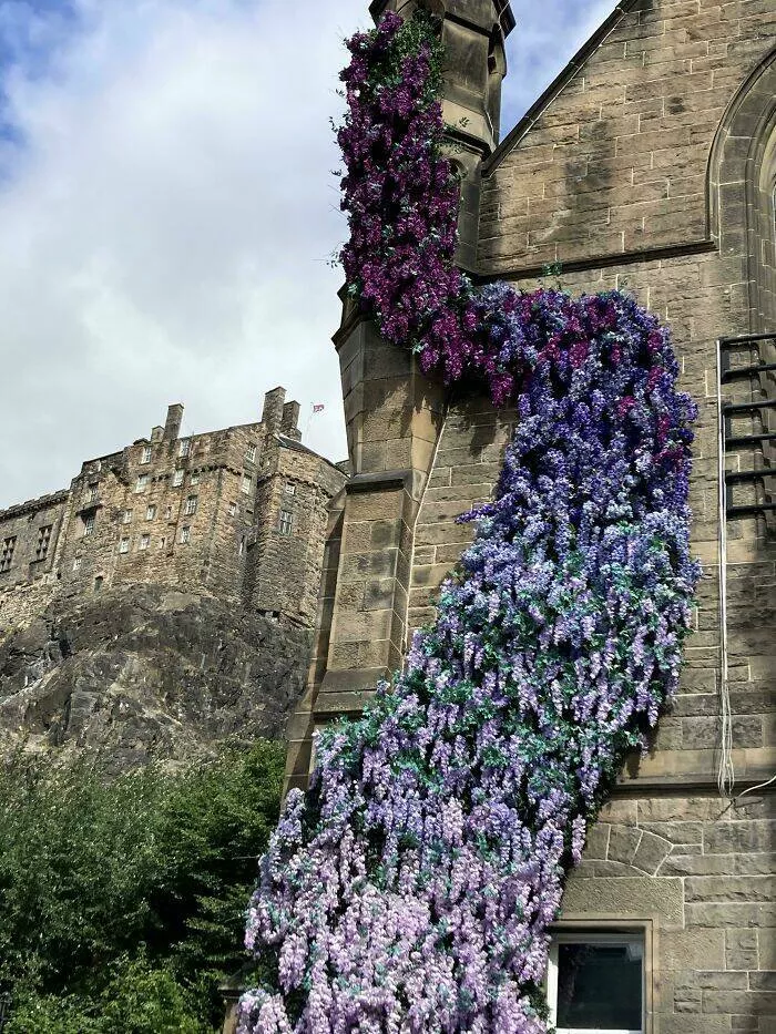 Intriguing discoveries subtly surprising finds that captivate - #26 Flowers on a wall arranged to create a gradient effect
