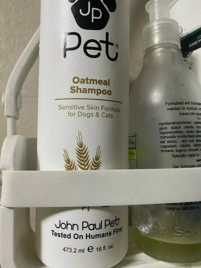 Intriguing discoveries subtly surprising finds that captivate - #27 My dog's shampoo undergoes human testing first