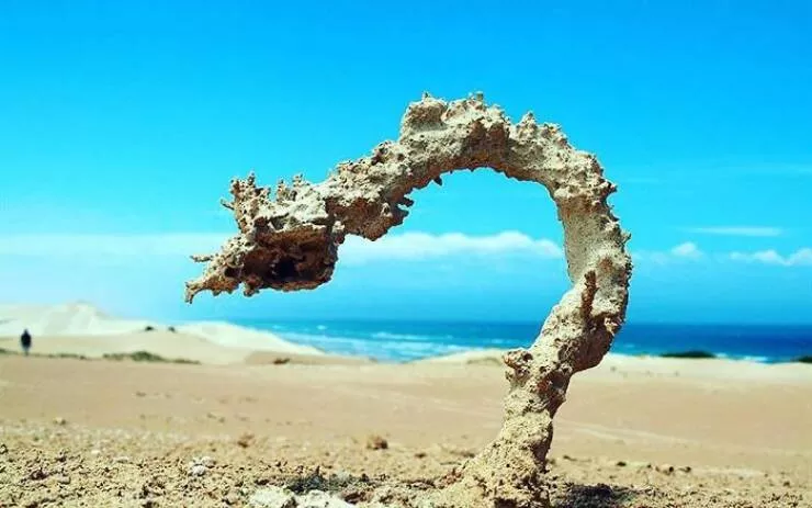 Intriguing discoveries subtly surprising finds that captivate - #31 The aftermath when lightning strikes beach sand