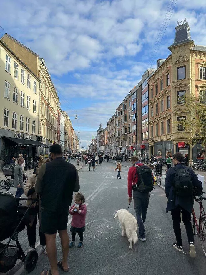 Intriguing discoveries subtly surprising finds that captivate - #38 Car-Free Sunday observed in Copenhagen today