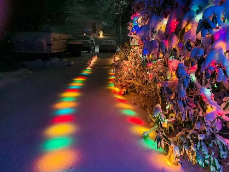 Intriguing discoveries subtly surprising finds that captivate - #43 Christmas lights buried beneath the ground Intriguing discoveries subtly surprising finds that captivate - #43 Christmas lights buried beneath the ground