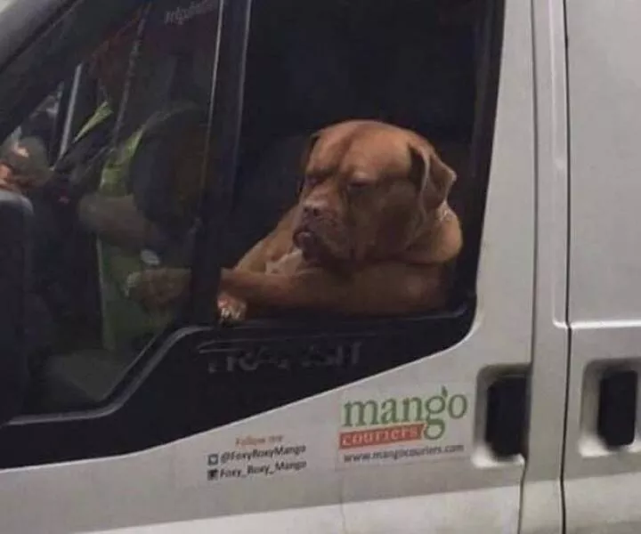 Picdump 838 - #1 
