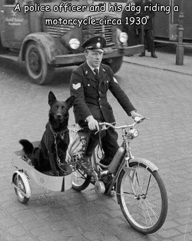 Picdump 838 - #12 