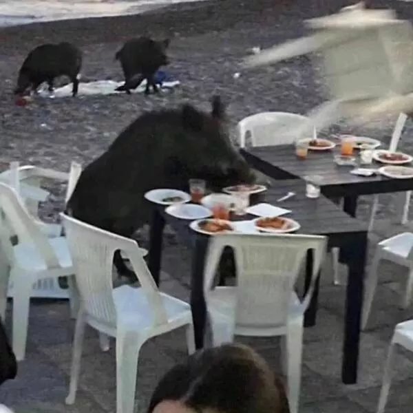Picdump 838 - #15 