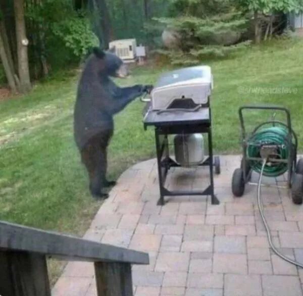 Picdump 838 - #43 