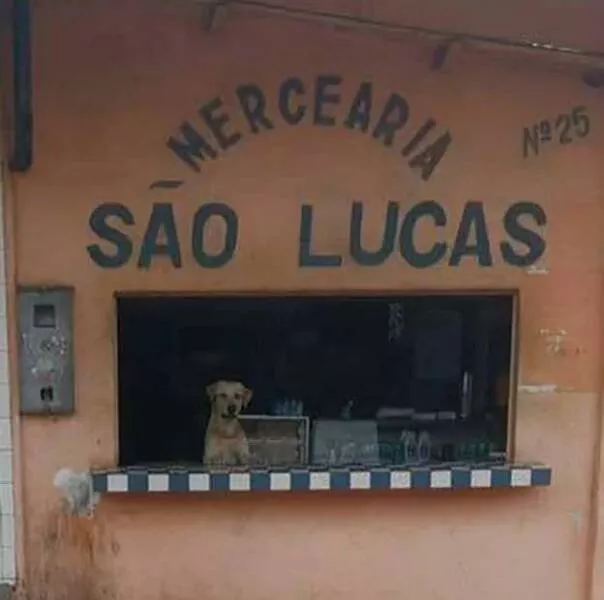 Picdump 838 - #7 