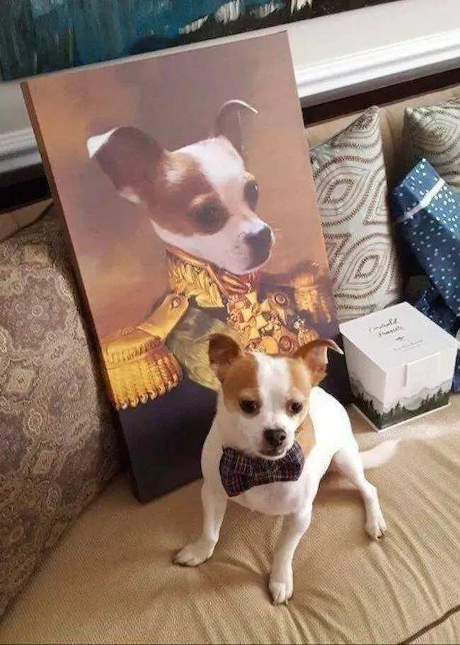 Pawsitively delightful embracing the world of canines - #12 