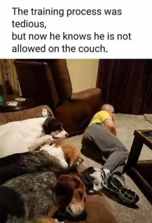 Pawsitively delightful embracing the world of canines - #25 